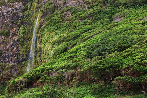 Idyllische Landschap Flores Island Azoren Portugal Europa — Stockfoto