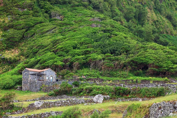 Landscape Flores Island Azores Archipelago Portugal Europe — Stock Photo, Image