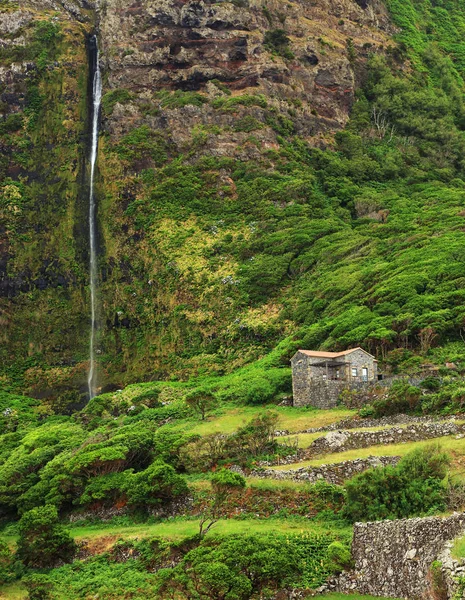 Landschaft Auf Floreinsel Azoren Archipel Portugal Europa — Stockfoto