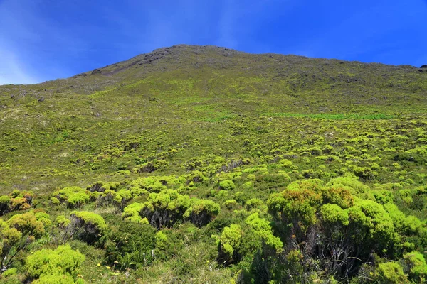 Vulcão Pico 2351M Ilha Pico Açores Portugal Europa — Fotografia de Stock