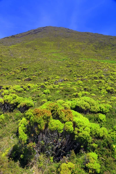 Vulcão Pico 2351M Ilha Pico Açores Portugal Europa — Fotografia de Stock