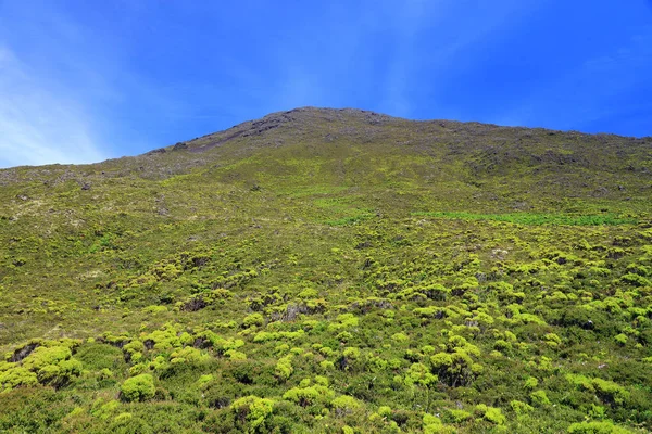 Volcan Pico 2351M Sur Île Pico Açores Portugal Europe — Photo