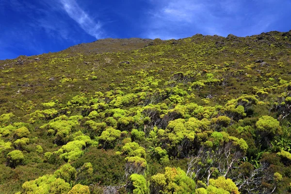 Pico Vulkaan 2351M Het Eiland Pico Azoren Portugal Europa — Stockfoto