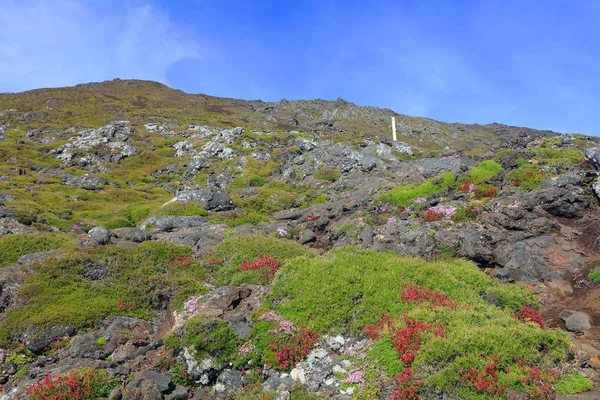 微微火山 2351M 微微岛 亚速尔群岛 葡萄牙 — 图库照片