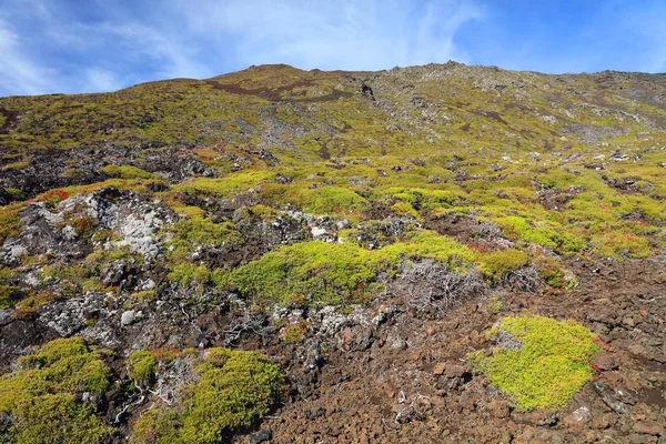 Vulcão Pico 2351M Ilha Pico Açores Portugal Europa — Fotografia de Stock