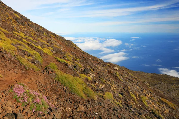 Pico Vulkaan 2351 Eiland Pico Azoren Portugal Europa — Stockfoto