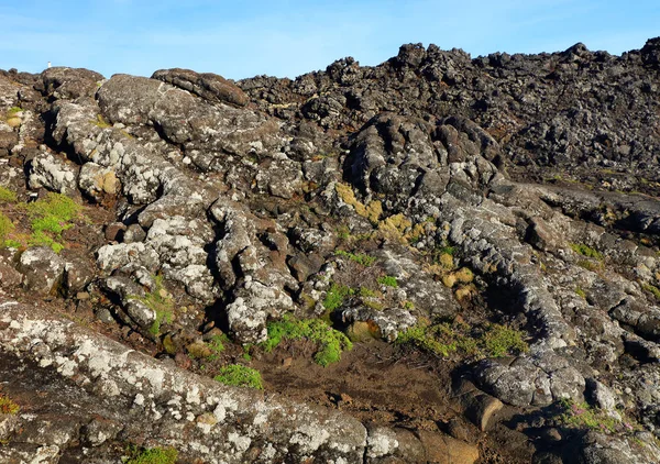 Pico Vulkan 2351M Pico Azorerna Portugal Europa — Stockfoto