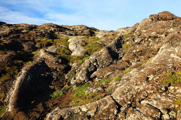 Pico Vulkaan 2351 Eiland Pico Azoren Portugal Europa — Stockfoto