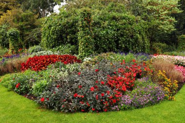 Londra hyde Park ormanda güneşli günler