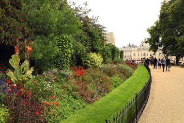 Londra hyde Park ormanda güneşli günler