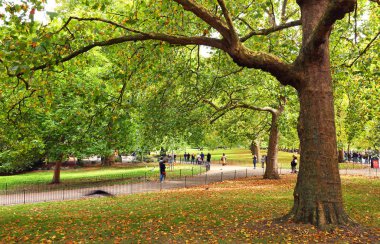 Londra hyde Park ormanda güneşli günler