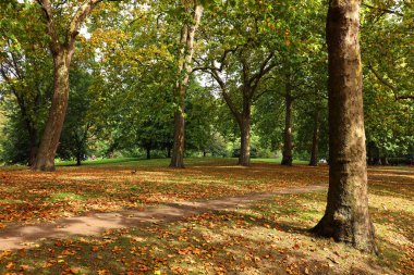 Hyde Park Londra, İngiltere, Avrupa'nın