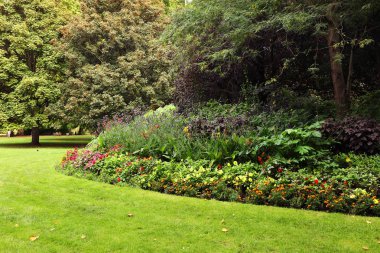 Londra hyde Park ormanda güneşli günler