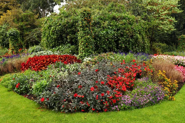 Sore Yang Cerah Hutan London Hyde Park — Stok Foto