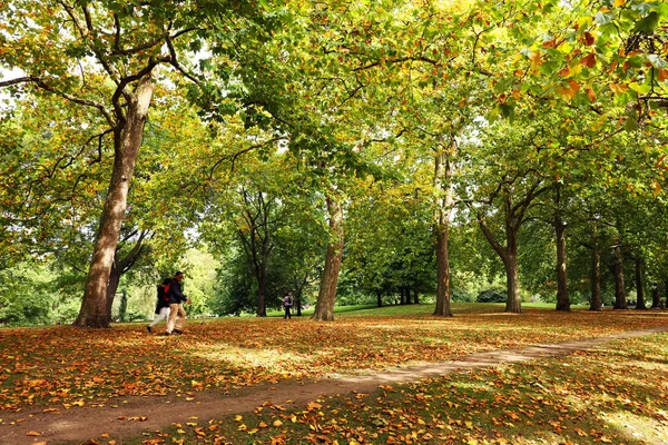 Pomeriggio Soleggiato Nei Boschi Londra Hyde Park — Foto Stock