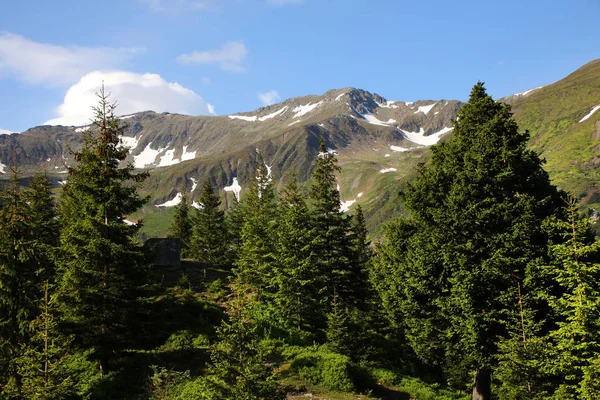 Bergslandskap Transsylvanska Alperna Rumänien — Stockfoto