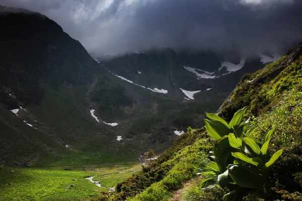 Berglandschap Transsylvanische Alpen Roemenië — Stockfoto