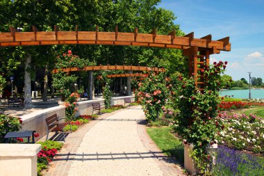 Yaz peyzaj Blaton Gölü, Macaristan, Europe