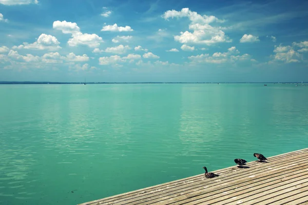 Summer Landscape Blaton Lake Hungary Europe — Stock Photo, Image