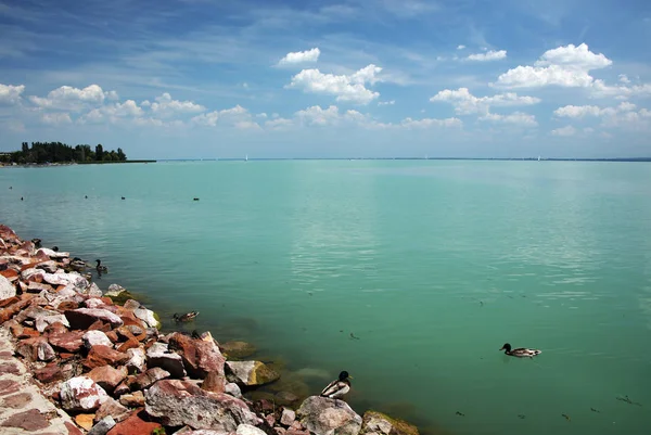 Paisagem Verão Blaton Lake Hungria Europa — Fotografia de Stock