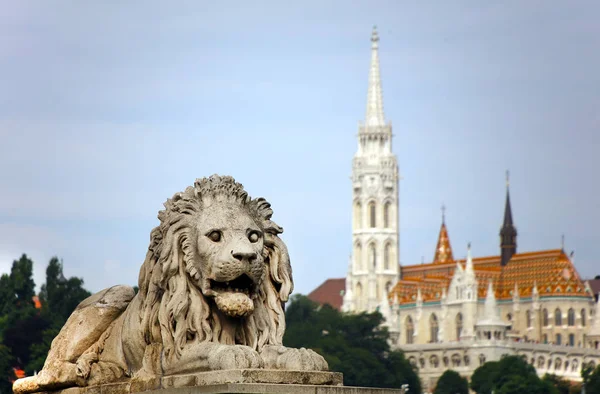 Ponte Delle Catene Sul Danubio Budapest Ungheria — Foto Stock