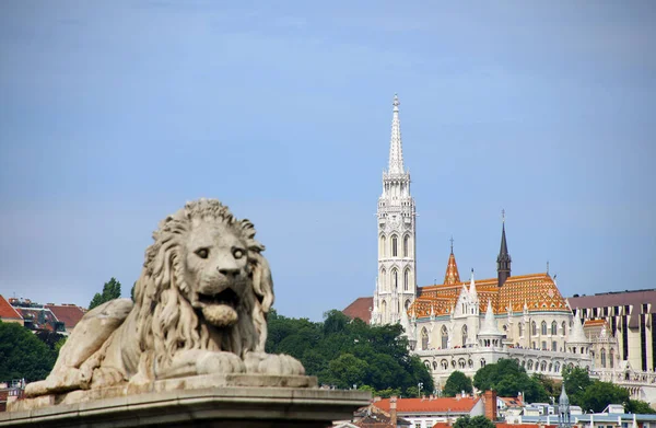 Kedjebron Budapest Ungerns Huvudstad Staden Europa — Stockfoto
