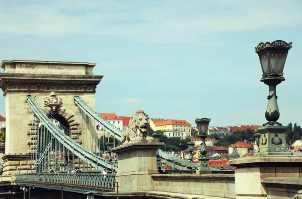 Karlově Univerzitě Budapešti Hlavní Město Maďarska Evropa — Stock fotografie