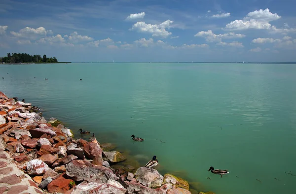 Lago Balaton Hungria Europa — Fotografia de Stock