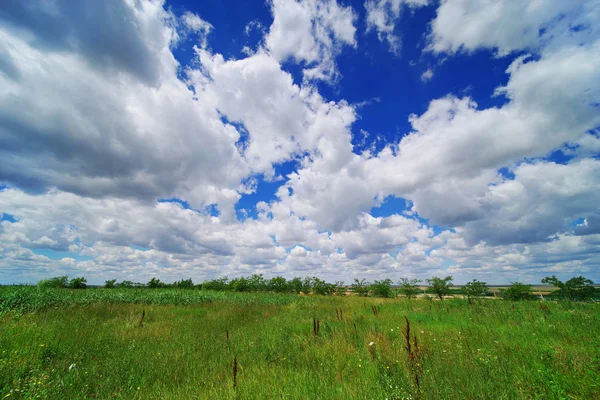 Summer Field Landscape Agriculture Field Cloudy Sky Rural Nature Farm — Stock Photo, Image