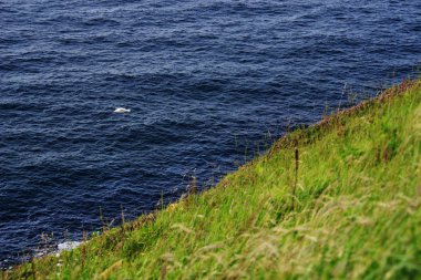 Santander, İspanya, Avrupa'nın Cantabria sahil
