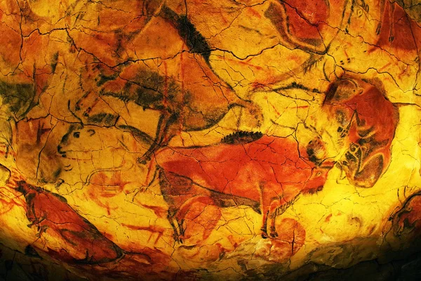 Altamira mağara İspanya, Europe