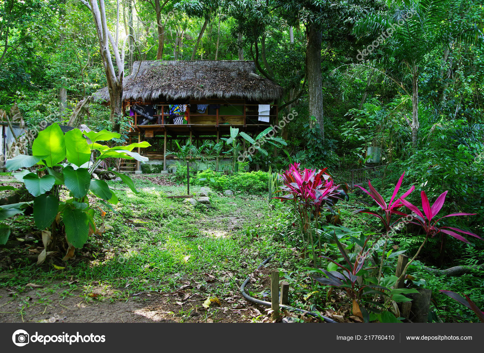 Forest Cottage Minca Colombia South America Stock Photo by