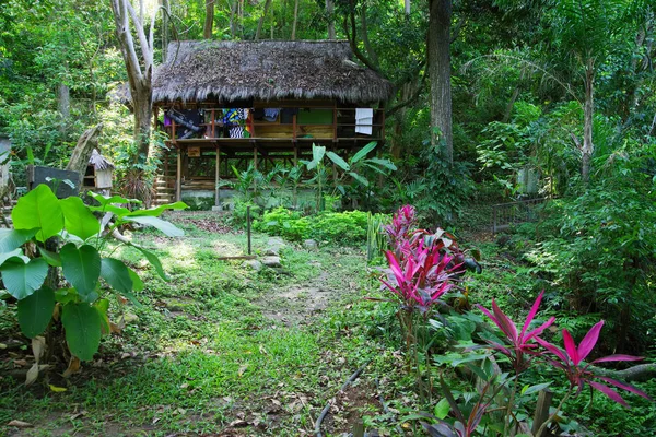 Forest Cottage Minca Colombia Sydamerika — Stockfoto