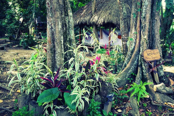 Forest Landhuisje Minca Colombia Zuid Amerika — Stockfoto