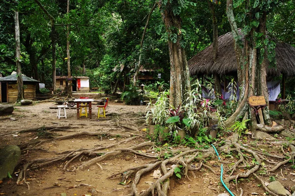 Δάσος Εξοχικό Σπίτι Ασβέστιο Την Κολομβία Νότια Αμερική — Φωτογραφία Αρχείου