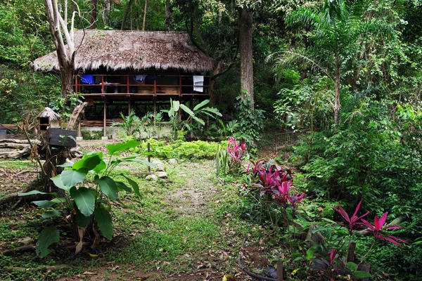 Minca 的森林小屋 哥伦比亚 南美洲 — 图库照片