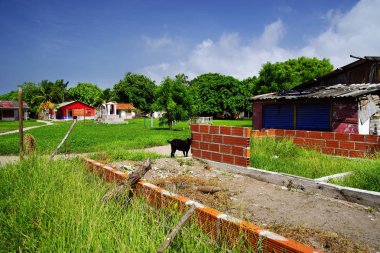 Isla Grande, Rosario adalar, Kolombiya, Güney Amerika