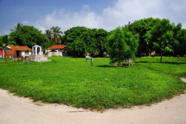 Isla Grande Archipiélago Del Rosario Colombia América Del Sur — Foto de Stock