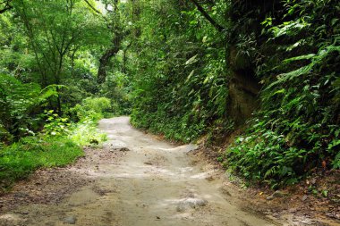 Yolunu Marinca şelale, Minca, Kolombiya, Güney Amerika