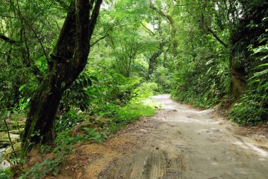 Yolunu Marinca şelale, Minca, Kolombiya, Güney Amerika