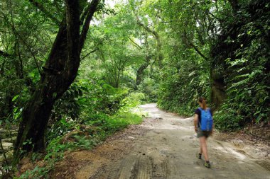Yolunu Marinca şelale, Minca, Kolombiya, Güney Amerika