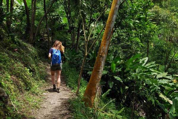 Путь Водопаду Маринка Минка Колумбия Южная Америка — стоковое фото