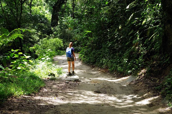 Pad Naar Marinca Waterval Minca Colombia Zuid Amerika — Stockfoto