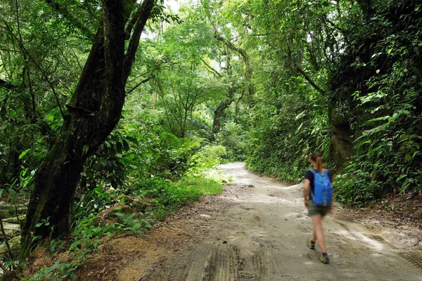 Pad Naar Marinca Waterval Minca Colombia Zuid Amerika — Stockfoto