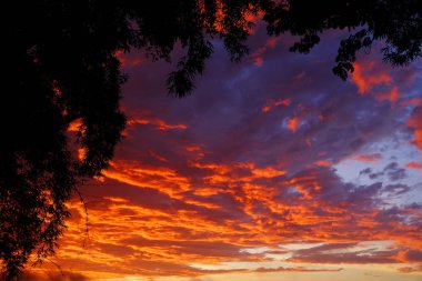 Gün batımı ışık im Minca, Kolombiya, Güney Amerika