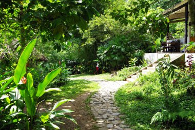 Yolunu Marinca şelale, Minca, Kolombiya, Güney Amerika