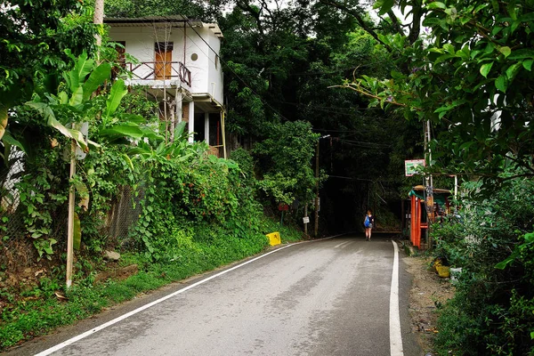 Minca Colombie Amérique Sud — Photo