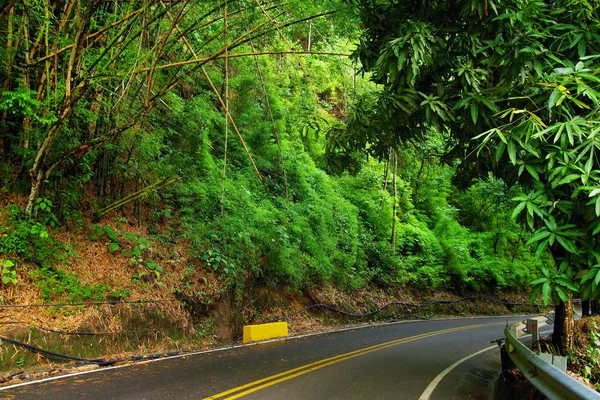 ミンカパノピカ コロンビア 南アメリカの山岳道路 — ストック写真