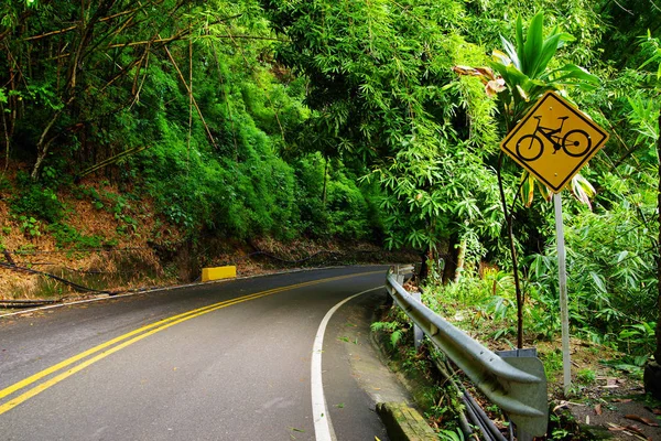 Jalan Alpine Minca Kolombia Amerika Selatan — Stok Foto