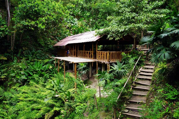 Camino Cascada Marinca Minca Colombia América Del Sur —  Fotos de Stock